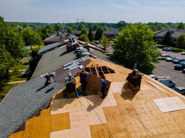 Roof Gutter Cleaning in Erwin, NC
