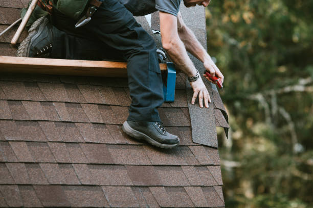 Best Metal Roofing Contractor  in Erwin, NC